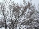 100401-18.jpg