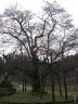 100407-3.jpg
