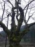 100407-5.jpg