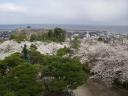 20100414-1.jpg
