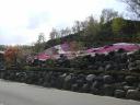 20100429-4.jpg