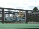 20100513-1.jpg