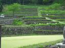 dscf0483.JPG