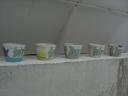 20101124-6.jpg