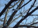 dscf0934.JPG